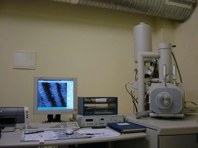 5.3.2. Análise SEM/EDS A análise SEM/EDS foi realizada na Unidade de Microscopia Electrónica e de Varrimento da UTAD.