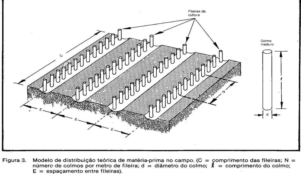 O CANAVIAL COMO UM TABULEIRO