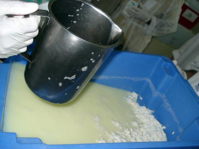 Dessoragem e salga A dessoragem é realizada retirando-se 90% do soro para a etapa da salga, a qual deve ser realizada na proporção de 120g de sal para 10 litros de leite, do volume inicial.