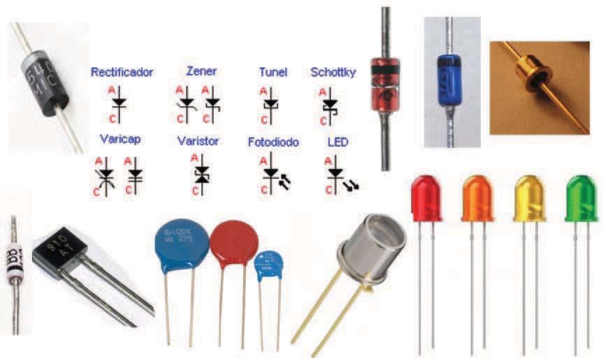 Diodos Tipos de Diodo: Diodo comum; Diodo Zener; Diodo Schottky; Diodo Tunel; Diodo Varicap; Diodo Varistor;