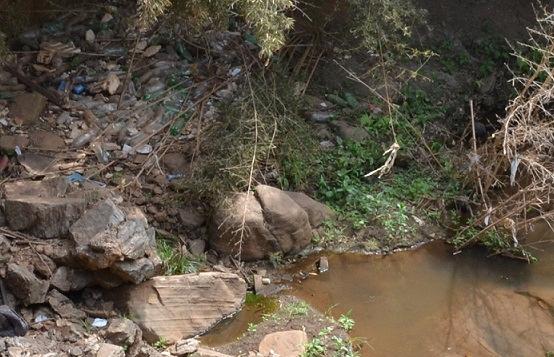 Foram encontrados impactos ambientais de origem antrópica em diversos locais visitados.