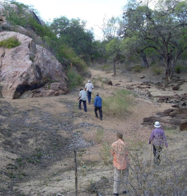 biodiversidade A colaboração entre a SEMAS, faculdades e