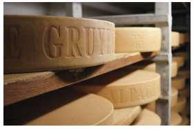 Aos 4 meses de maturação, os queijos são certificados de sua qualidade e