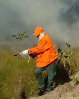 Brigadista realizando uma queima na Zona de Manejo Sono/Sereno (acima a esquerda).