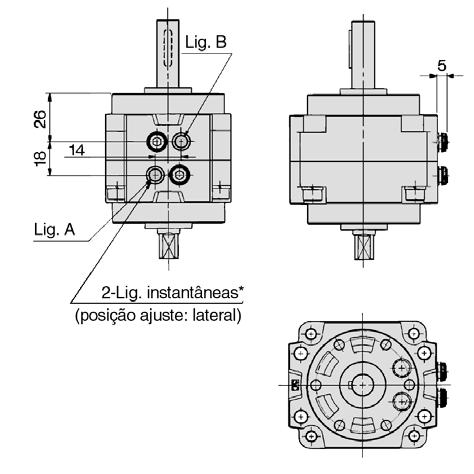 Série CRB1 Cilindro rotativo com ligações instantâneas incorporadas: 5 Modelo