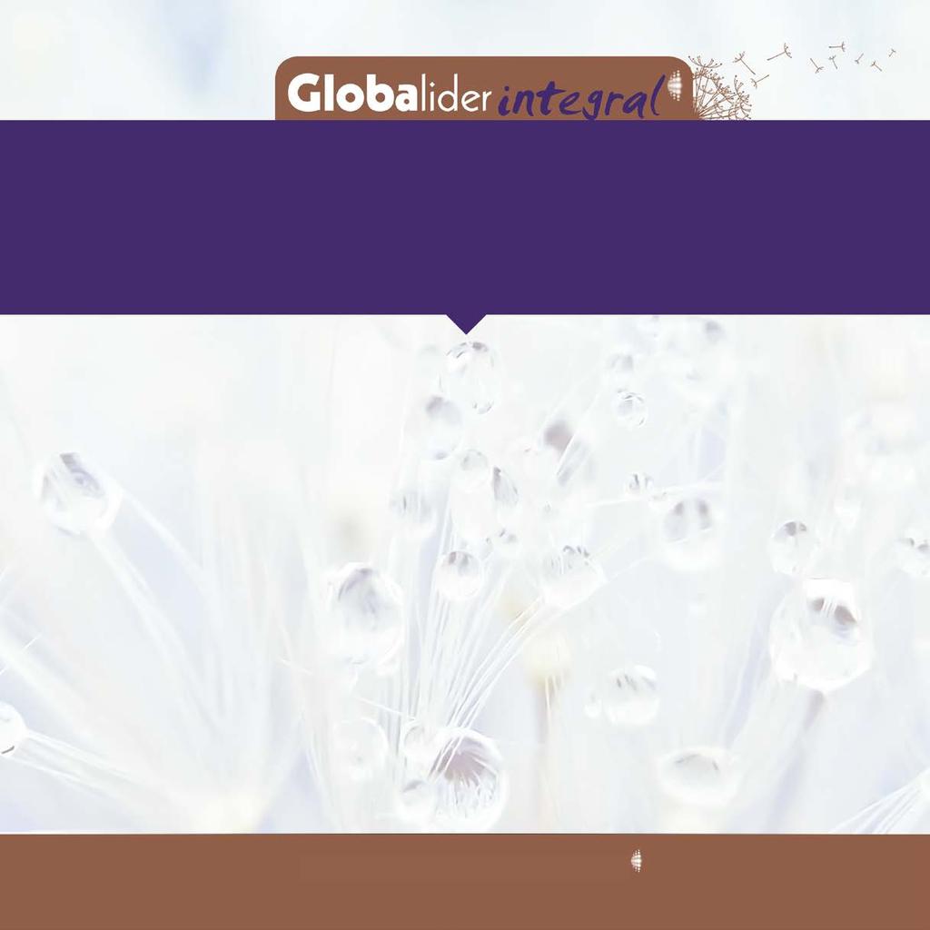 Conjunto integral de serviços para a internacionalização Globaltex + Globalprox + Globalmex Relatório de diagnóstico com proposta inicial + Relatório de seleção de produto e/ou serviço a
