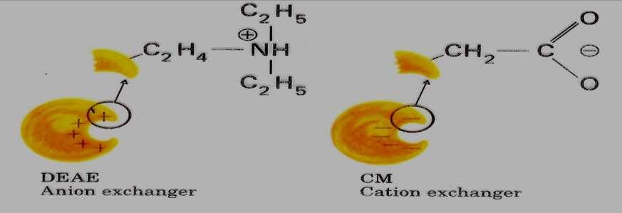 Cromatografia de troca iônica A resina para cromatografia de troca iônica apresenta carga elétrica, positiva ou negativa, em uma ampla faixa de ph.