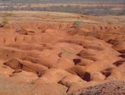 Algumas Consequências da Desertificação 8 Degradação do solo, da água e da vegetação; Figura 2 - Processo de erosão Perda