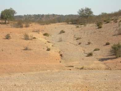 Características Desertificação Despovoamento das Áreas Rurais Abandono da