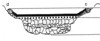 CangaN, Canindé (CE)