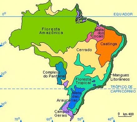 Vegetações do Nordeste Vegetações: Caatinga (Sertão); Mata de Cocais