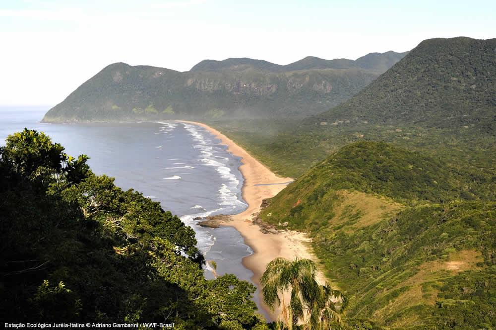 habitat de anfíbios, mamíferos de médio porte, aves e insetos; Solo: rico em matéria