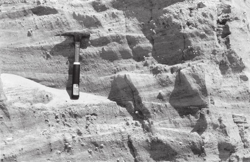 Arenitos de fácies de dunas eólicas exibindo estratiﬁcações cruzadas; acima, arenitos de fácies de lençóis de areia, sub-horizontais.