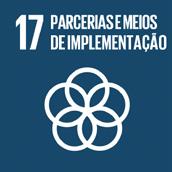 de negócios (GRI, UN Global Compact, WBCSD). Questionário do Índice de Sustentabilidade Empresarial da BM&FBOVESPA, Dimensão Geral.