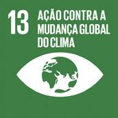 utilizado como referência no Brasil e também em outros países em desenvolvimento; Contribuir para o planejamento e a gestão dos próximos