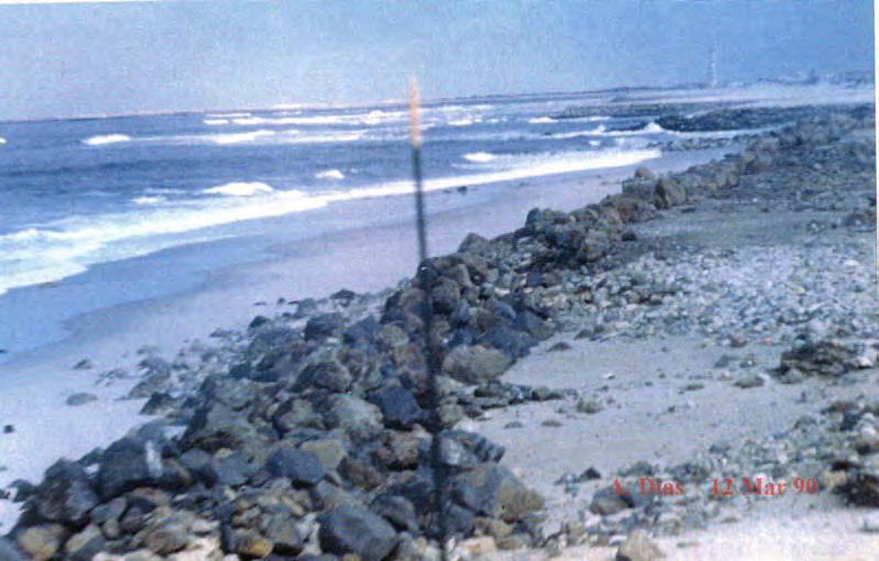 Figura 3.26 - Obras de defesa implantadas no litoral a sul de Aveiro.