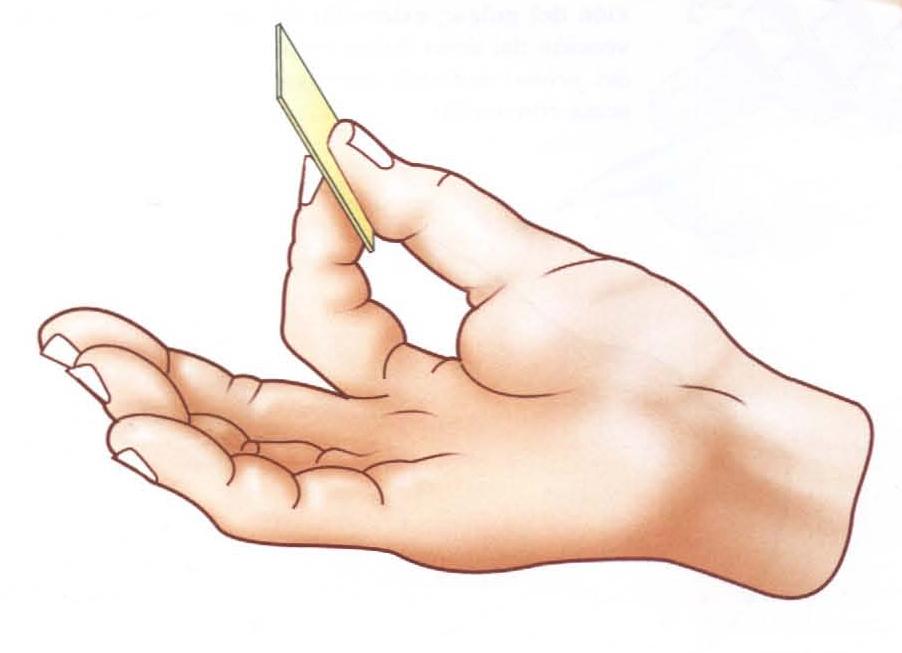 O polegar e o dedo indicador (ou o médio) realizam a oposição pela extremidade da polpa no caso de alguns objetos extremamente