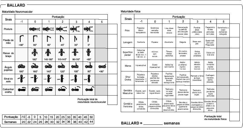 Independente da evolução desse neonato, o melhor método clínico para avaliação da idade gestacional pósnatal é: a) Capurro somático, com 6 horas de vida b) New Ballard, com 6 horas de vida c) Capurro