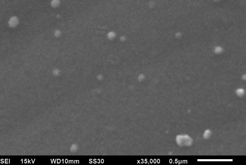 A carga superficial negativa das nossas nanocápsulas é devido a característica iônica do PCL.