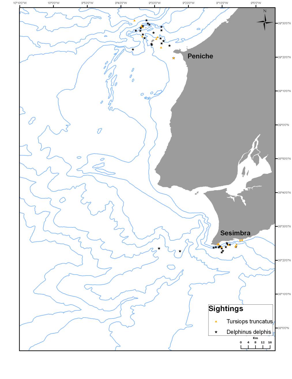 Sesimbra), apenas para a ocorrência de duas espécies (golfinho-comum e golfinho-roaz) (ver figura 5).