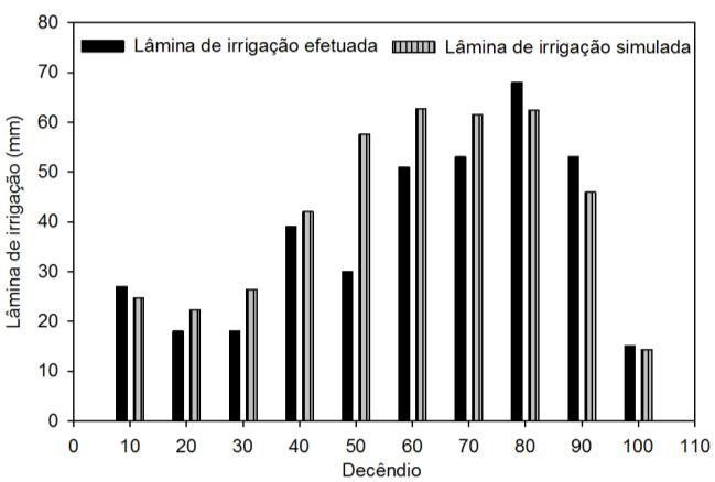 Figura 1- Lâminas de irrigação aplicadas e simuladas com o modelo CROPWAT-FAO, para a cultura do feijão, em intervalos decendiais. Santa Maria, RS, 2012.