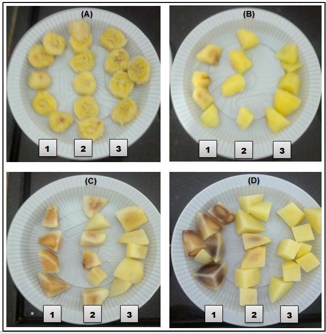 34 Figura 6 Aspecto visual após branqueamento a vapor nos tempos de 1, 2 e 3 minutos da banana, maçã, pêra e batata.
