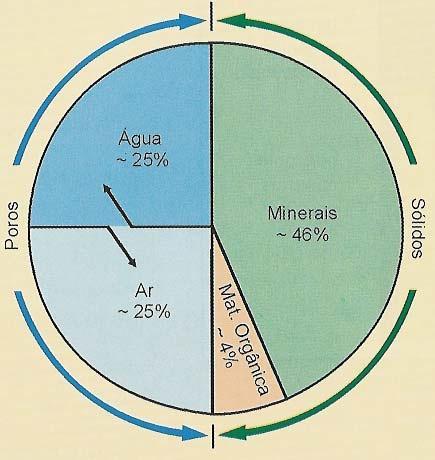 6 - Infiltração Passagem de água da superfície para o interior do solo Composição do solo: Classificação