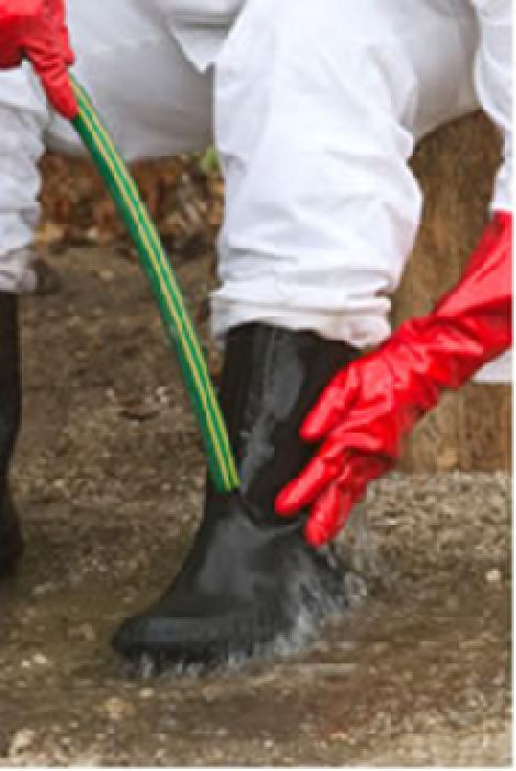 Após a Aplicação do Produto Riscos mais Frequentes Intoxicação por contato Medidas de Prevenção Lavar as botas antes de tirar as luvas.