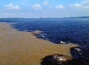 O rio Amazonas nasce na cordilheira dos Andes, no Peru.