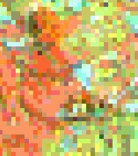 - Imagens: compostas por unidades discretas chamadas pixels (do inglês picture elements), ou elementos de imagem. Imagem TM/LANDSAT inteira (185 km x 185 km), M=N=6167 e k= 256 ( 0 a 255).