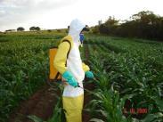 Uso de equipamento de proteção individual. Optar por aqueles de menor potencial de impacto! Classe toxicológica de herbicidas registrados para pastagens.