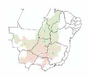 Os resultados obtidos indicam que a área do Cerrado recoberta por vegetação nativa em suas diversas fitofisionomias, considerando-se o ano base 2002, representa 60,42% do bioma (Figura 4).