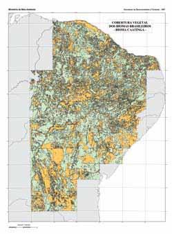 Os resultados obtidos indicam que a Caatinga apresenta uma área de cobertura vegetal nativa da ordem de 518.635 Km 2, o que equivale a 62,77% da área mapeada do bioma (Figura 5).