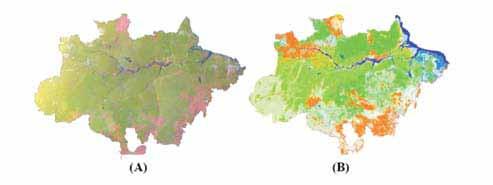 Os resultados foram apresentados também segundo a divisão política-administrativa dos estados amazônicos.