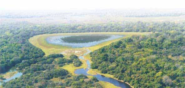 Bioma Pantanal Instituições executoras: Embrapa Informática Agropecuária, Embrapa Gado de Corte, Instituto Nacional de Pesquisas Espaciais - INPE e Instituto de Meio Ambiente Pantanal IMAP/SEMA, MS.