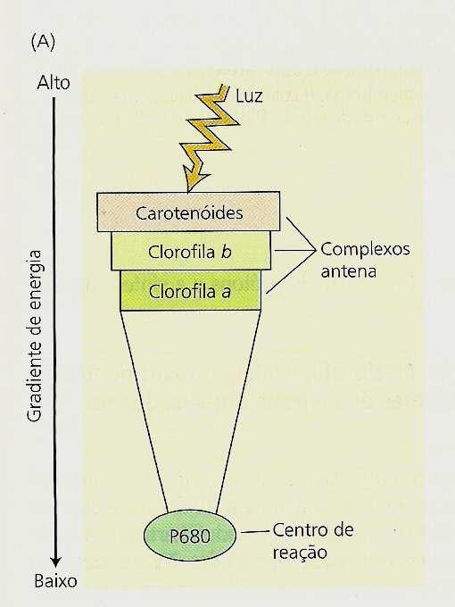 Esquema do