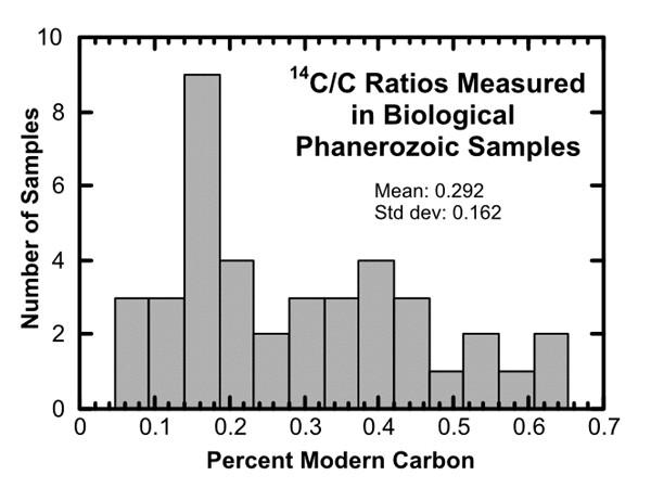 Interpretação dos Dados AMS (Accelerator Mass Spectrometry) A quantidade de C nas amostras sugere que os organismos morreram ao