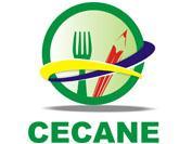 PNAE PARCEIROS Centro Colaborador de Alimentação e Nutrição Escolar (CECANE) FNDE IFES CECANE Parceria que existe desde 2006.