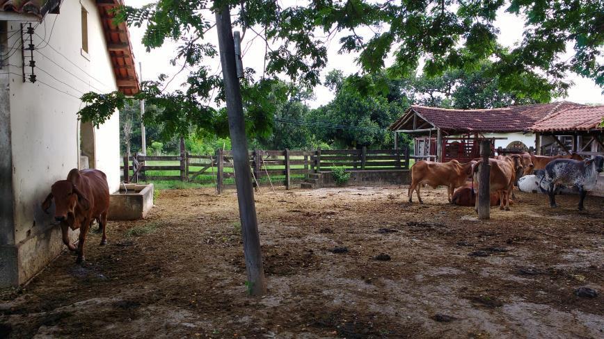 Fazendinha Agroecológica Embrapa Agrobiologia/UFRRJ Novembro de 2016.