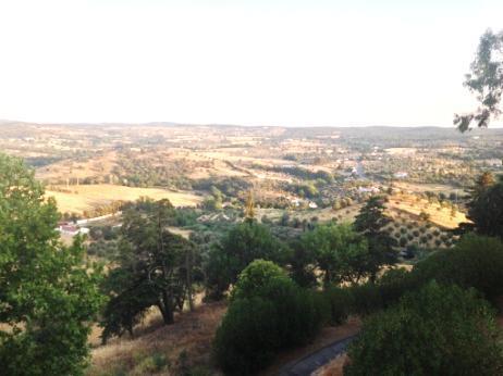 O bem estar no território rural Montemor-o-Novo n = 206, Verão 2015 comparação entre concelhos Ferreira do Alentejo Montado, gado bovino e mosaico