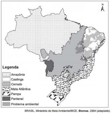 1) A unidade 1 desenvolve-se em áreas quentes e úmidas; trata-se de uma formação heteróclita[1].