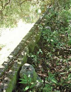 Junto a casa, em continuidade a esse muro, destaca-se um belo arco esculpido em pedra, cujo vão permite acesso ao amplo espaço de serviços (f09).