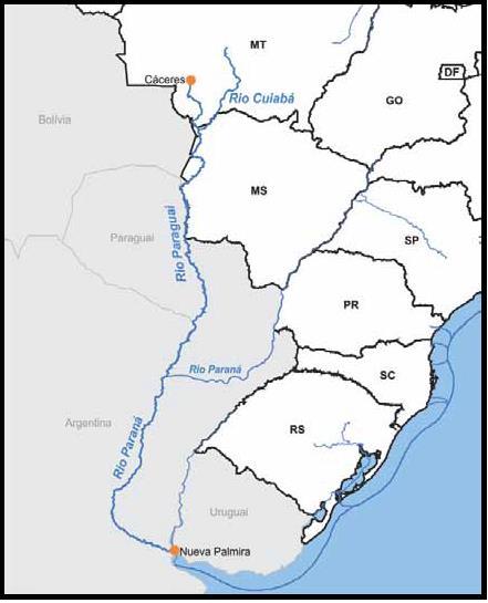 Mapeamento de ecotipos - Rio Cuiabá / MT. Joao Fernando Pezza Andrade, Marcelo Pellicano Falleiros, Kayque Bergamaschi Carneiro e Marco Ianniruberto.