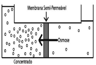 Osmose É um caso especial de transporte passivo, pois se processa do meio menos concentrado (hipotônico) para o mais concentrado (hipertônico).