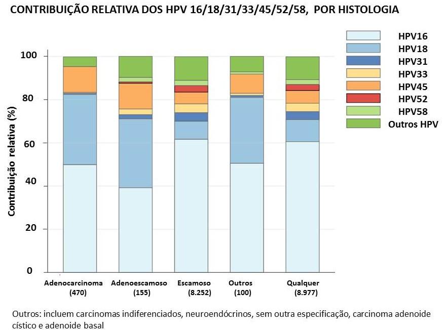 Fonte: Serrano B, et al. Potential impact of a nine-valent vaccine in human papillomavirus related cervical disease. Infect Agent Cancer. 2012 Dec 29;7(1):38. Editora Médica Responsável: Dra.