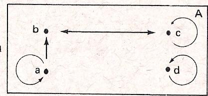 Que propriedades R apresenta?. Enumerar os elementos das seguintes relações em A = {a,b,c,d}.