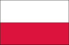 Benchmark internacional Caso de estudo 4 Polónia Incentivos financeiros e fiscais ao investimento À semelhança de Portugal e Espanha, a Polónia apresenta, genericamente, um conjunto de incentivos
