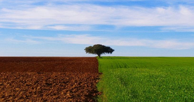 Alentejo e a tranquilidade da