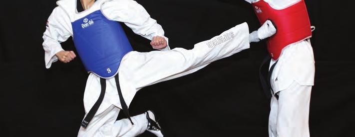 ATIVIDADE INTERNACIONAL 2017 Campeonato Europeu Universitário de Taekwondo 24 a 27 de Julho, Coimbra (Portugal) Ana Coelho Doutoramento em Ciências da Saúde Joana Cunha Gestão Francisco Costa