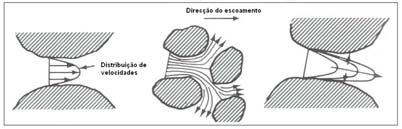 Dirichlet) e um gradiente de concentração nula em z.